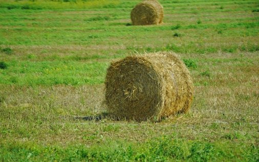 Як фінансувати українських сільгоспвиробників за допомогою аграрних розписок: Уроки Бразилії